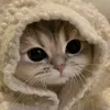 thaoquyeen5