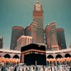 shafay840