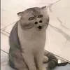 nhungdangiiuu