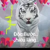 bach_ho_9999