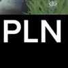 pln33