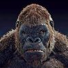 monkebananaman