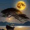 omar.nisrin566
