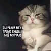 tak_i_sho_shou