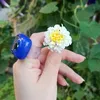 hivi_kurdi19