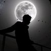 moustafa.963