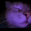 hitxkola