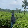 familyday76