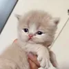 dyt3wfykd3i0