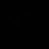 c.lii29