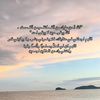 turki17043