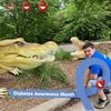 amandajohnson2635