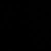 svg.13