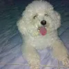 user109667188110