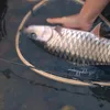 _wildfishing1