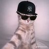 king_prillzz