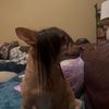 crumpledpaper1