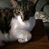 cathypipes777