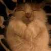 kittychann11