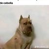 ricardoandradeguz0