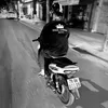 lezhiu