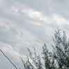 rizki_0478