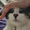 ankhkitty_13
