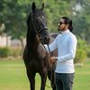 maliksajeed8