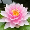 orchid_ford