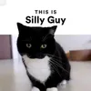 thisissillyguy