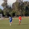 cavani_59