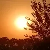 kater_1289