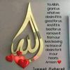 sabiabdu1