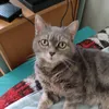 kiki642006