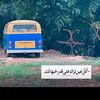 shimoahmed1234