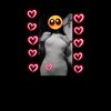 reina_nerita