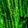 update_11_29_17