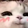 _hdangbim_