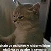 jossls14