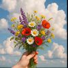 zeyno_484848