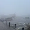 harry_michael246