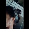 josalidjo_capri94