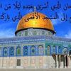 hamminetarek