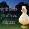 quackquackarmy