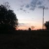 user61418109137784