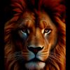 abdi.islm