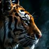 _tiger007_