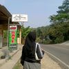 ll1ntn