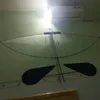 uiduiuimanhthi