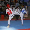 2011aa01